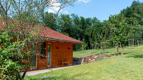 Chalet in der Natur in Drachselsried